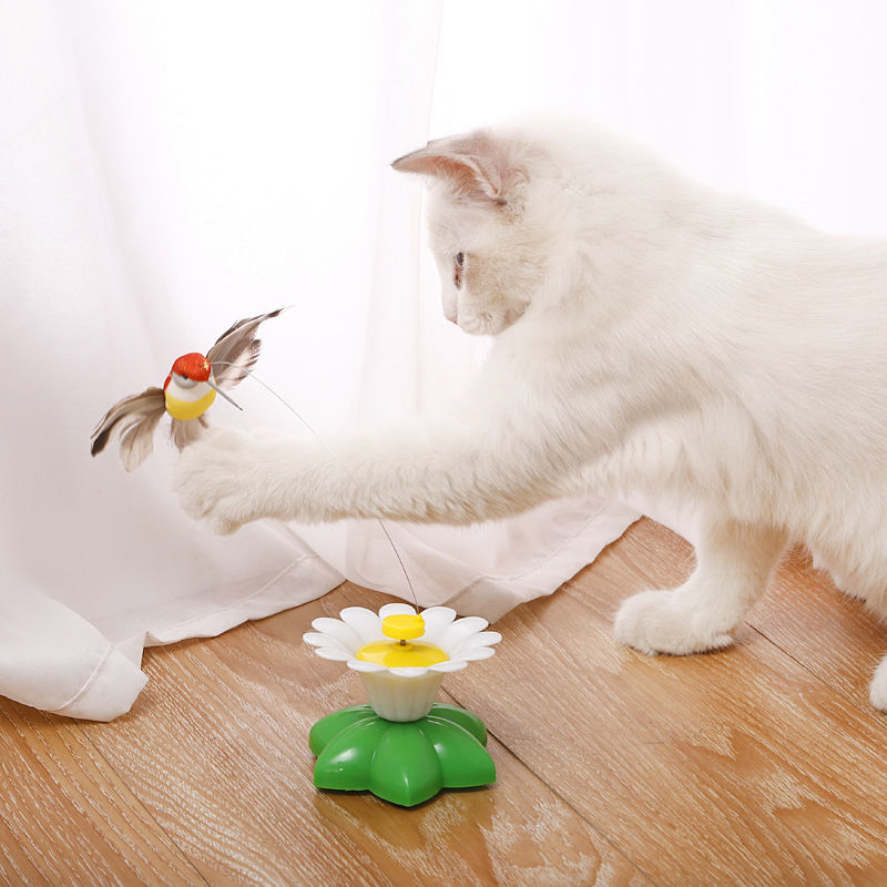 🐈🐈【Compra 1 y obten 1 gratis】🐱Teaser de gato colibrí giratorio automático😍